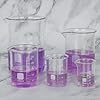 Borosilicate Glass Beaker Set (5 Pcs)